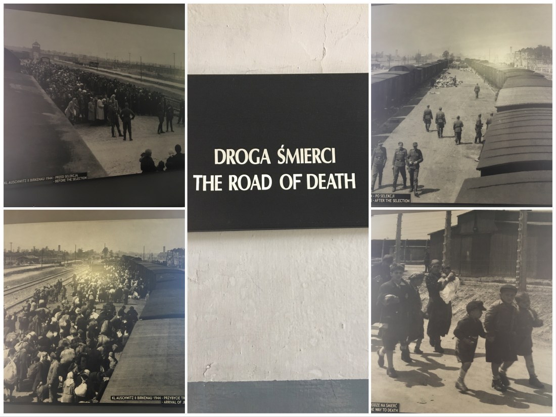 63193B2C-C9F1-4FBC-9485-326159EF890B