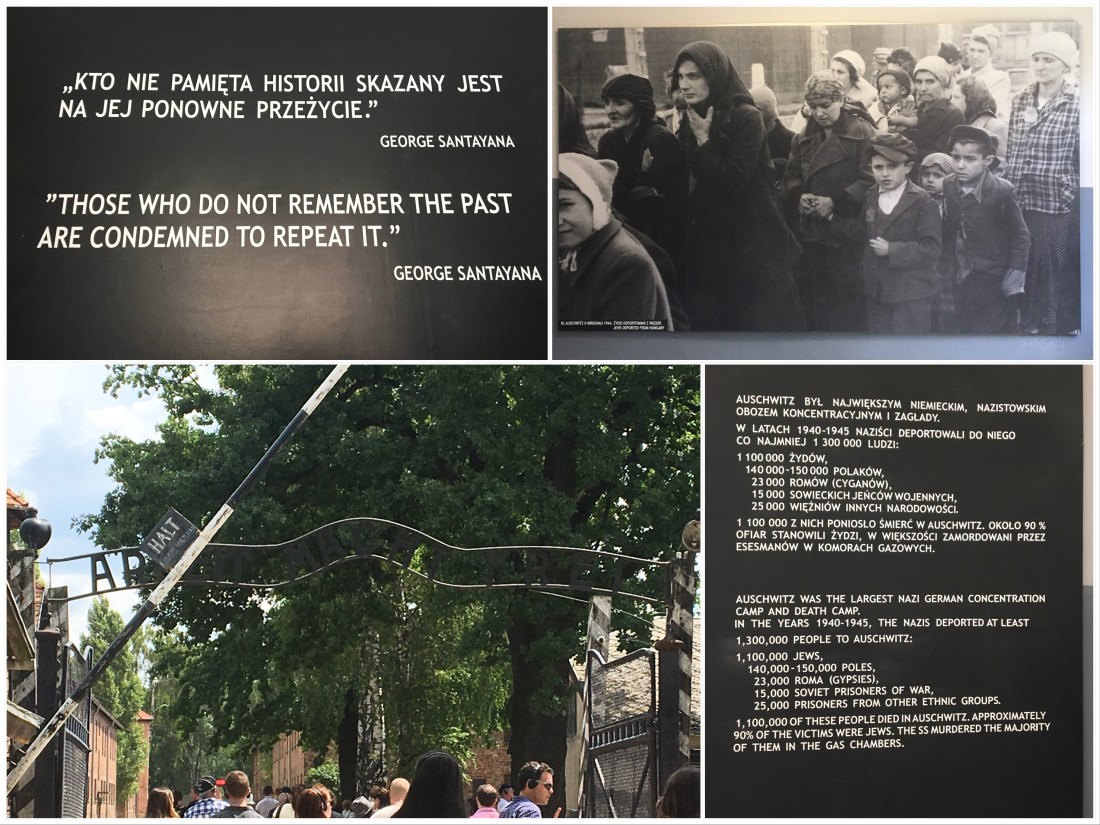 6FB2990E-50B9-419A-A952-E4B1587C7E9E