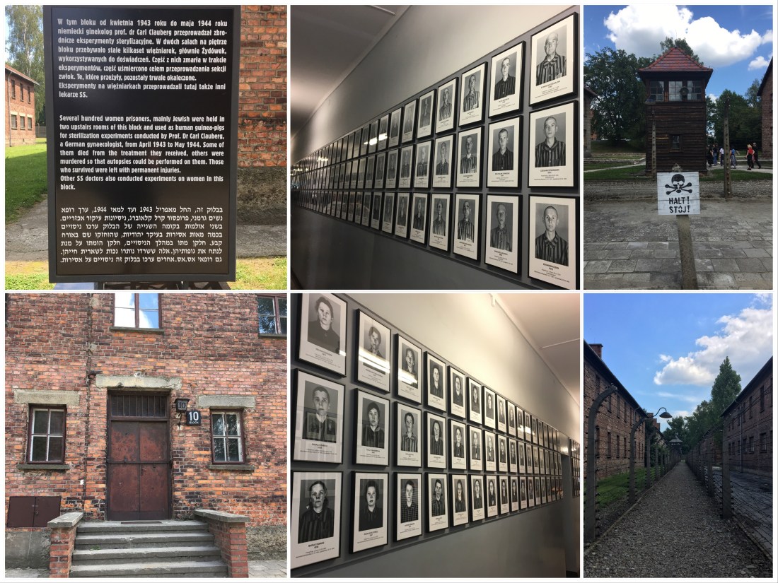 96241B36-C8A4-45ED-B5FA-0252789CB5FD