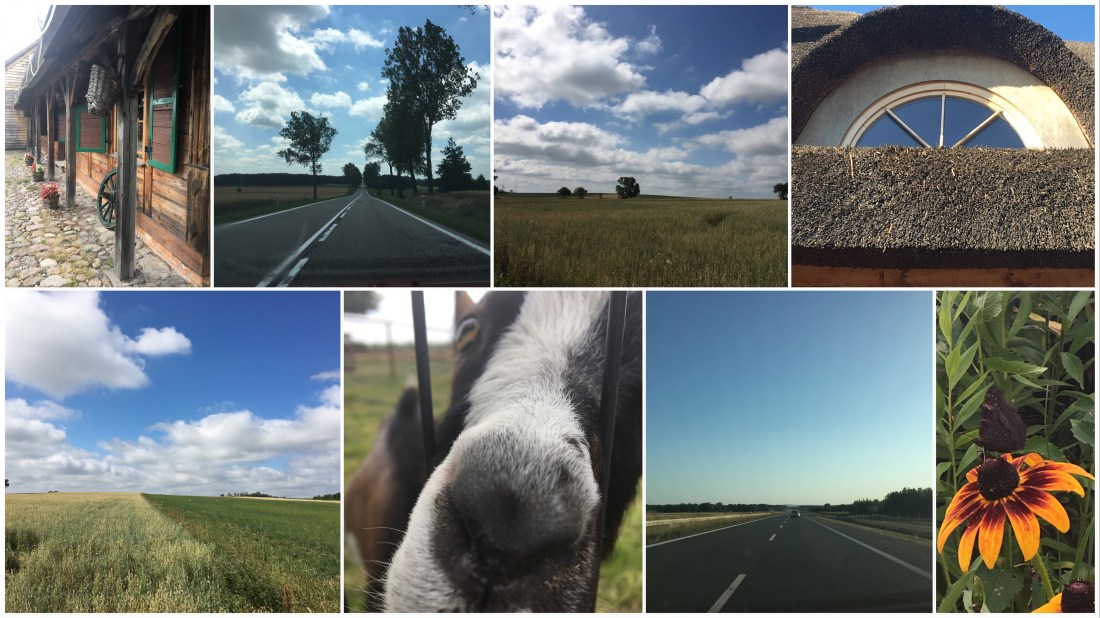 D4A6E1E0-3FE3-483D-A2FC-DA9D8BE0A71A