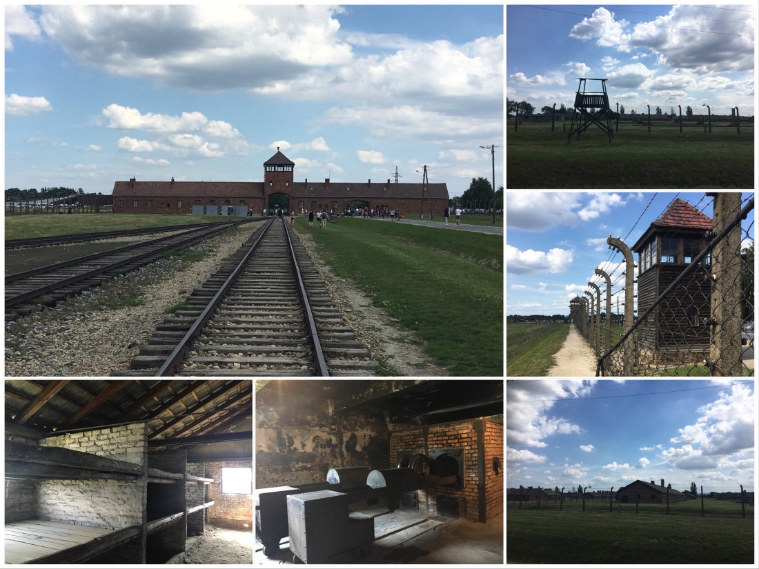 DDA1C4C5-4A7C-442F-82DA-8B6B4F0C9470